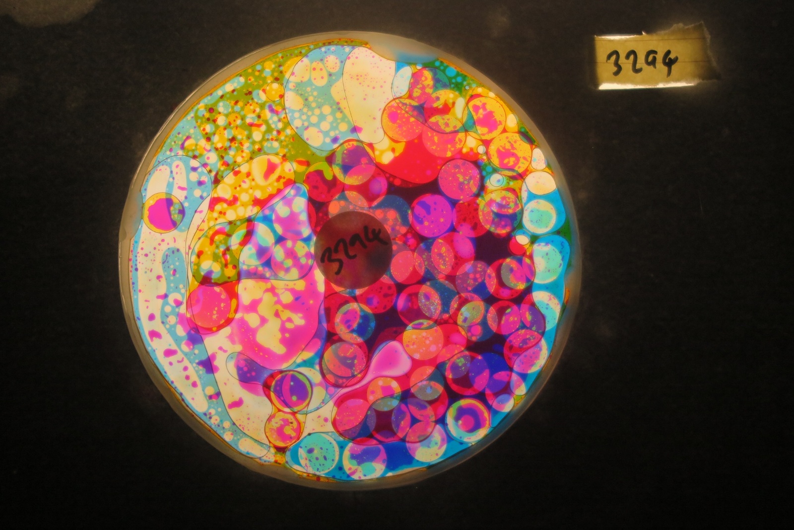 BV3294 bubble vision oil wheel